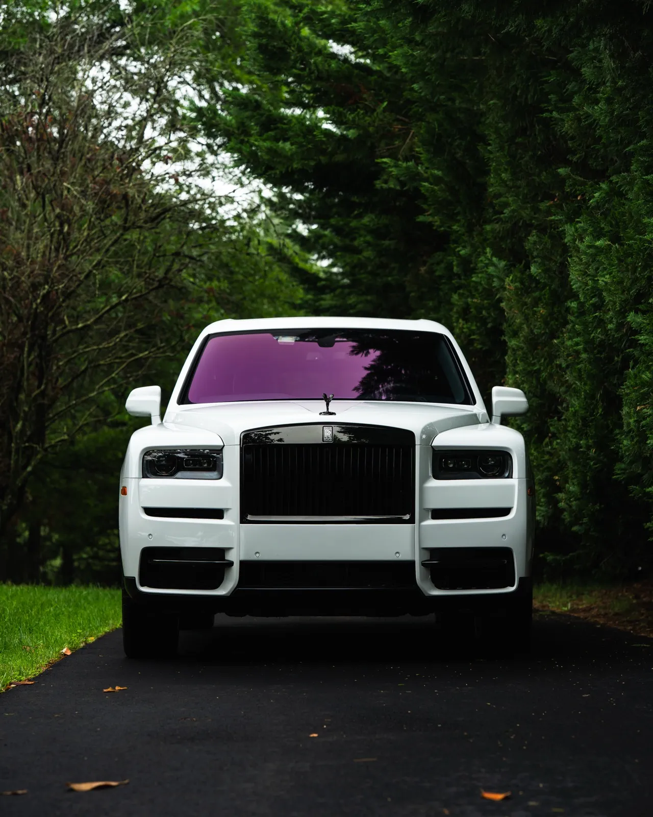 White Rolls-Royce Cullinan front view — custom vehicle detailing