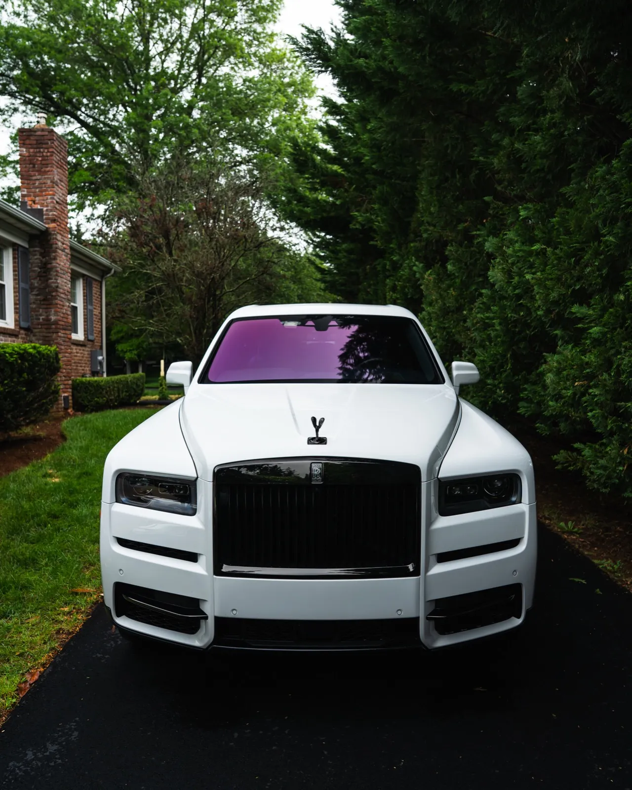 White Rolls-Royce Cullinan — professional auto detailing